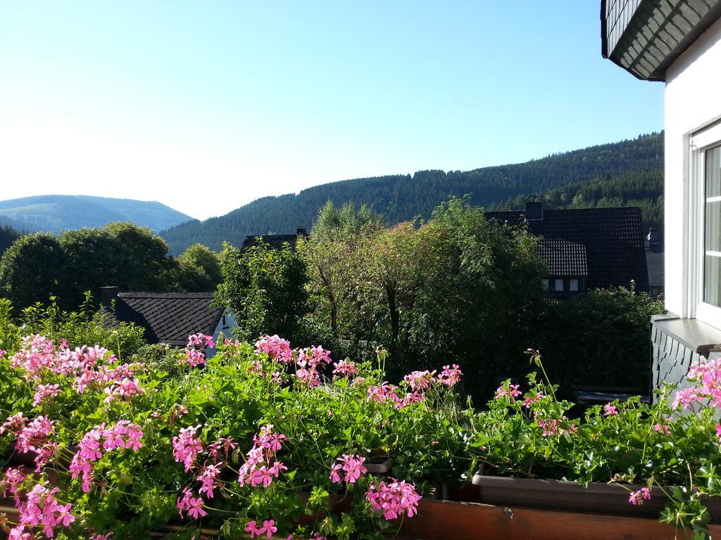 Ferienwohnungen Luge - Winterberg Bagian luar foto
