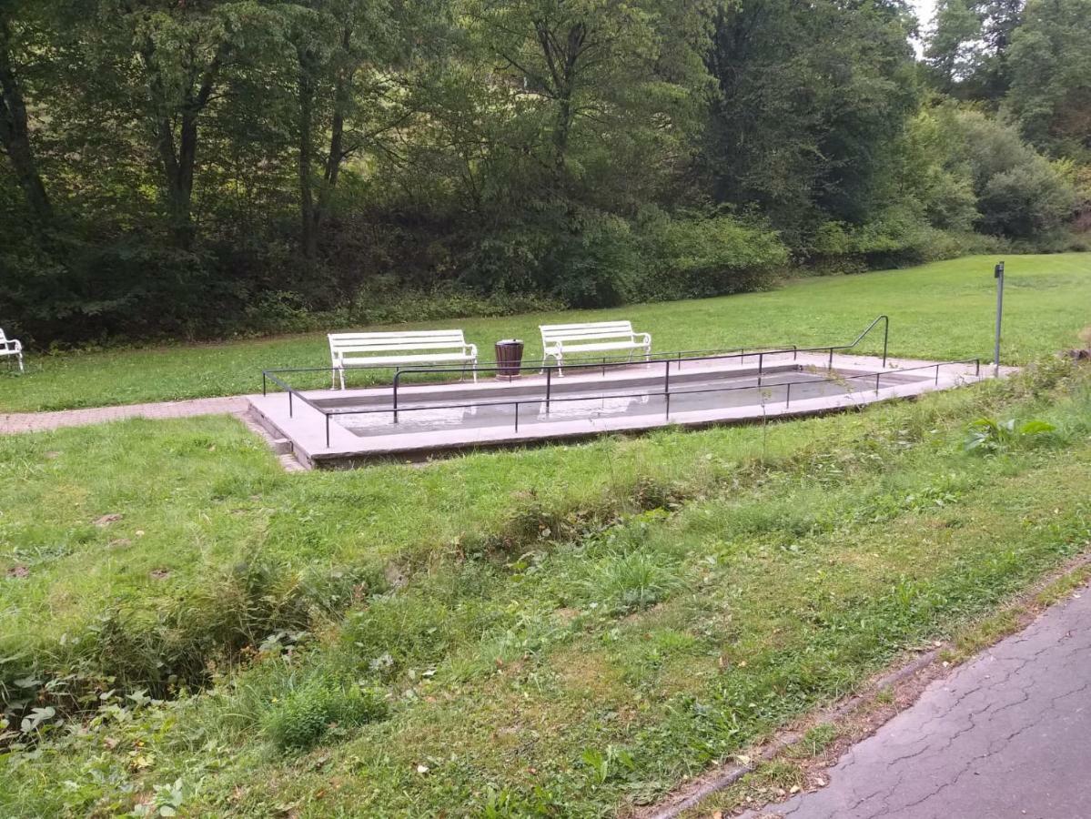 Ferienwohnungen Luge - Winterberg Bagian luar foto