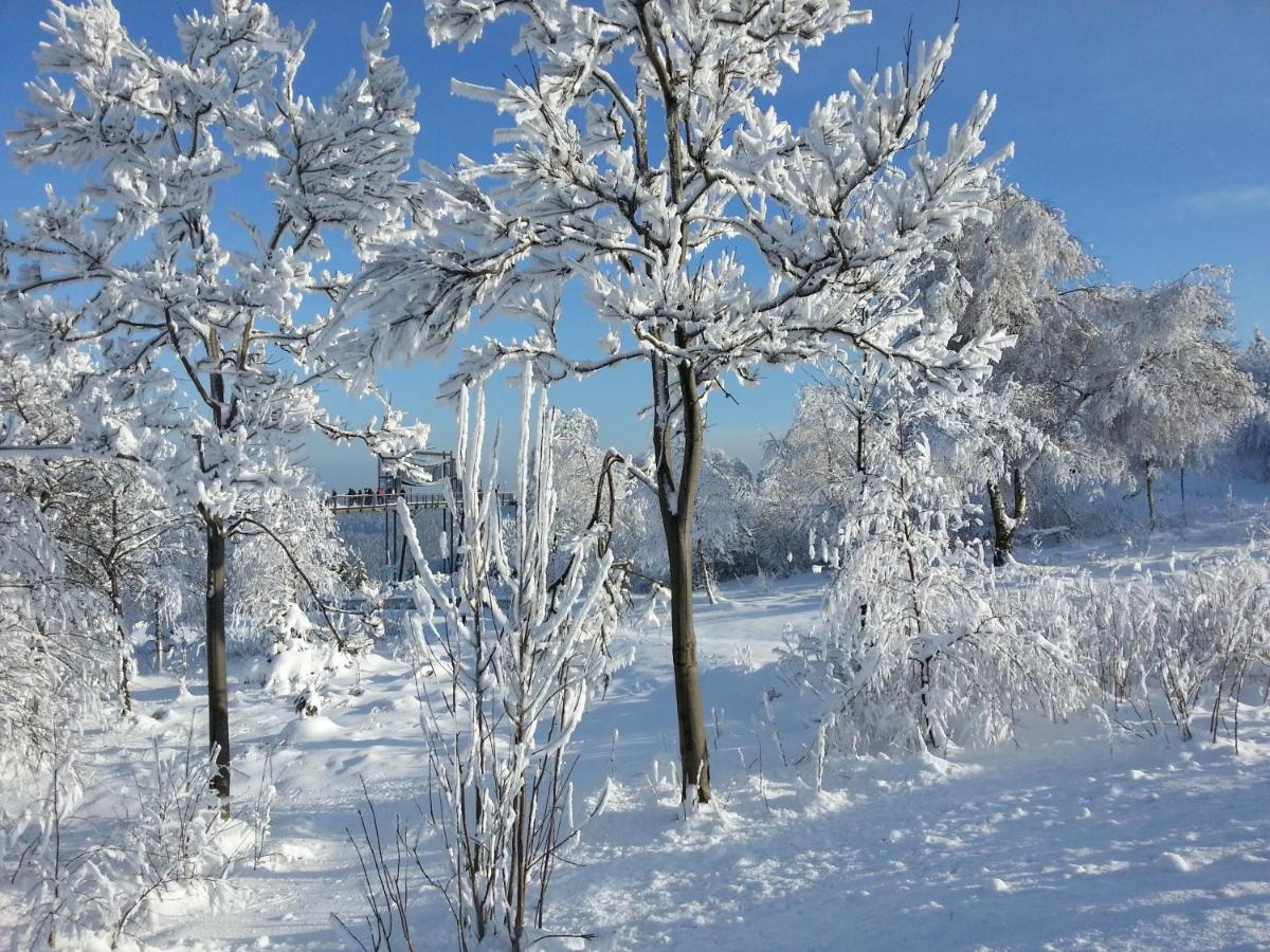 Ferienwohnungen Luge - Winterberg Ruang foto